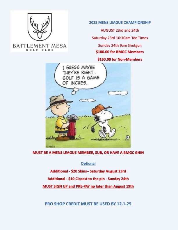 updated Men's league Flier