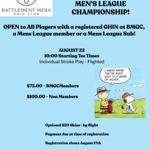 Mens League Flier
